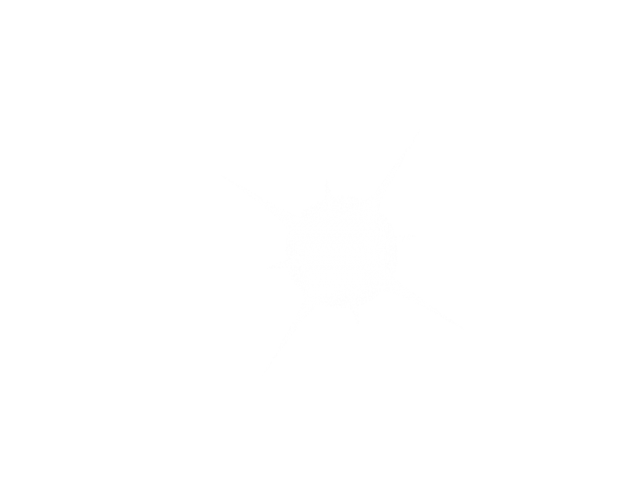 20240422113916_4957