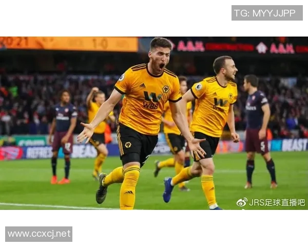 狼队与桑德兰精彩对决直播地址分享及赛事前瞻分析